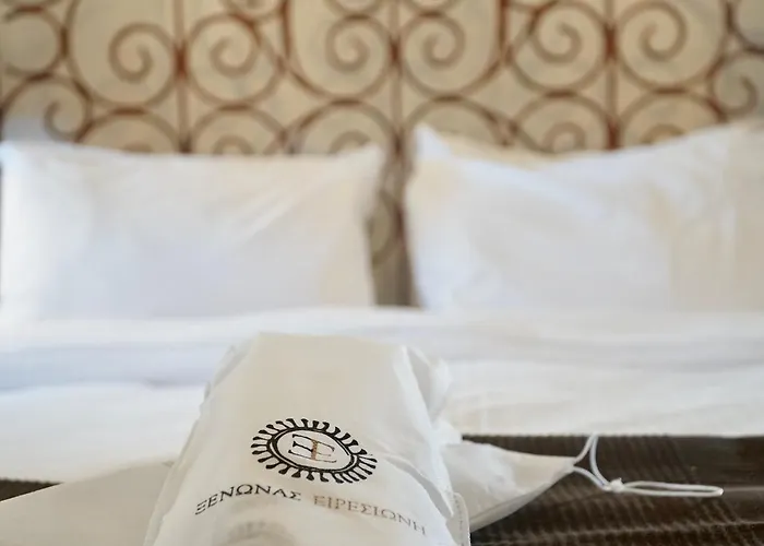 Xenonas Iresioni Guest house Arachova